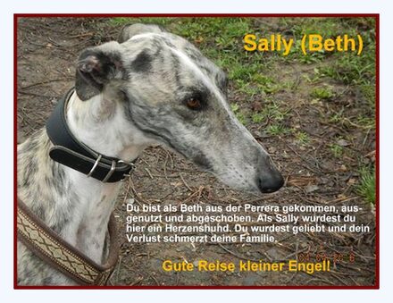 Sally