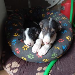 Esperanza & Nika