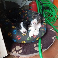 Esperanza & Nika