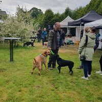 Sommerfest