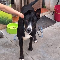 Ares
