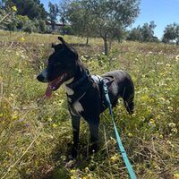 Ares