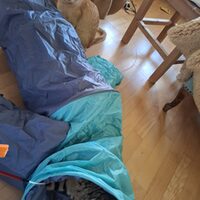 Happy End Katzen