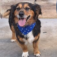 Sammy