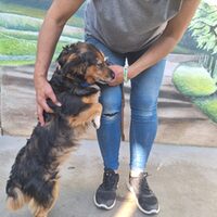Sammy